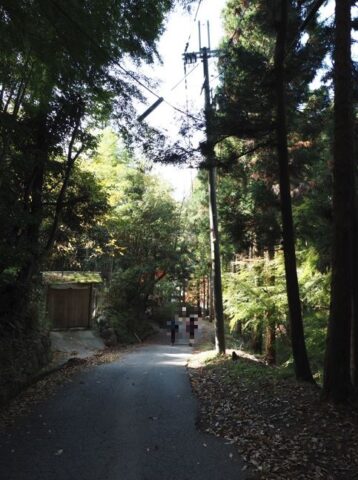 神峯寺の道路