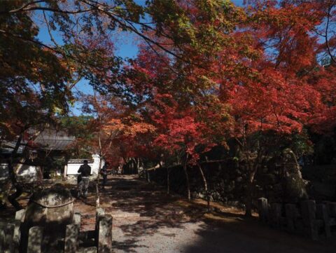 神峯寺の紅葉